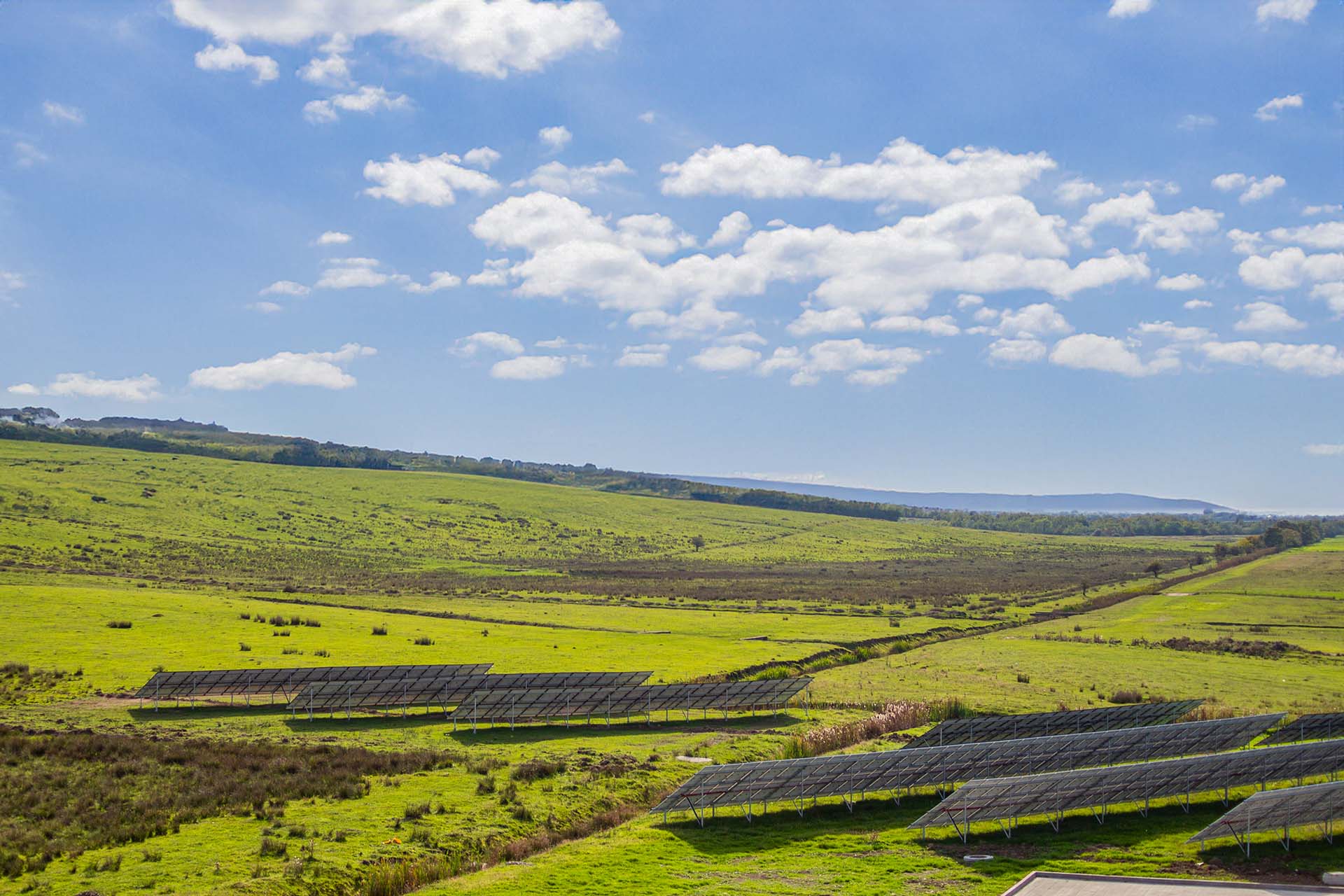 Efigen desarrollo de parques solares para generacion energética